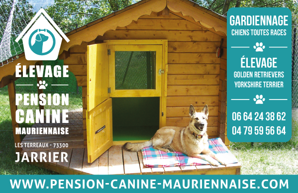 Vente d’accessoires et croquettes pour chien Maurienne