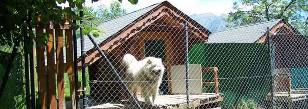 Pension canine Maurienne