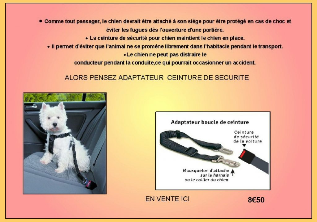 TRIXIE Boucle pour attacher le chien dans la voiture