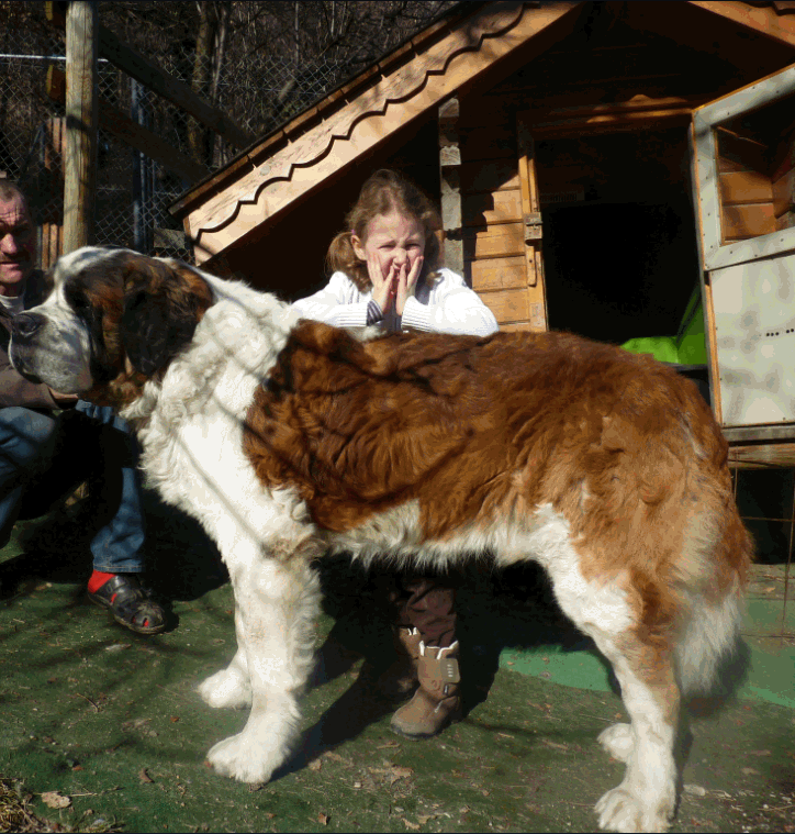 Pension canine Saint Jean de Maurienne